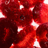 Close-up of red raspberries with a bright light source