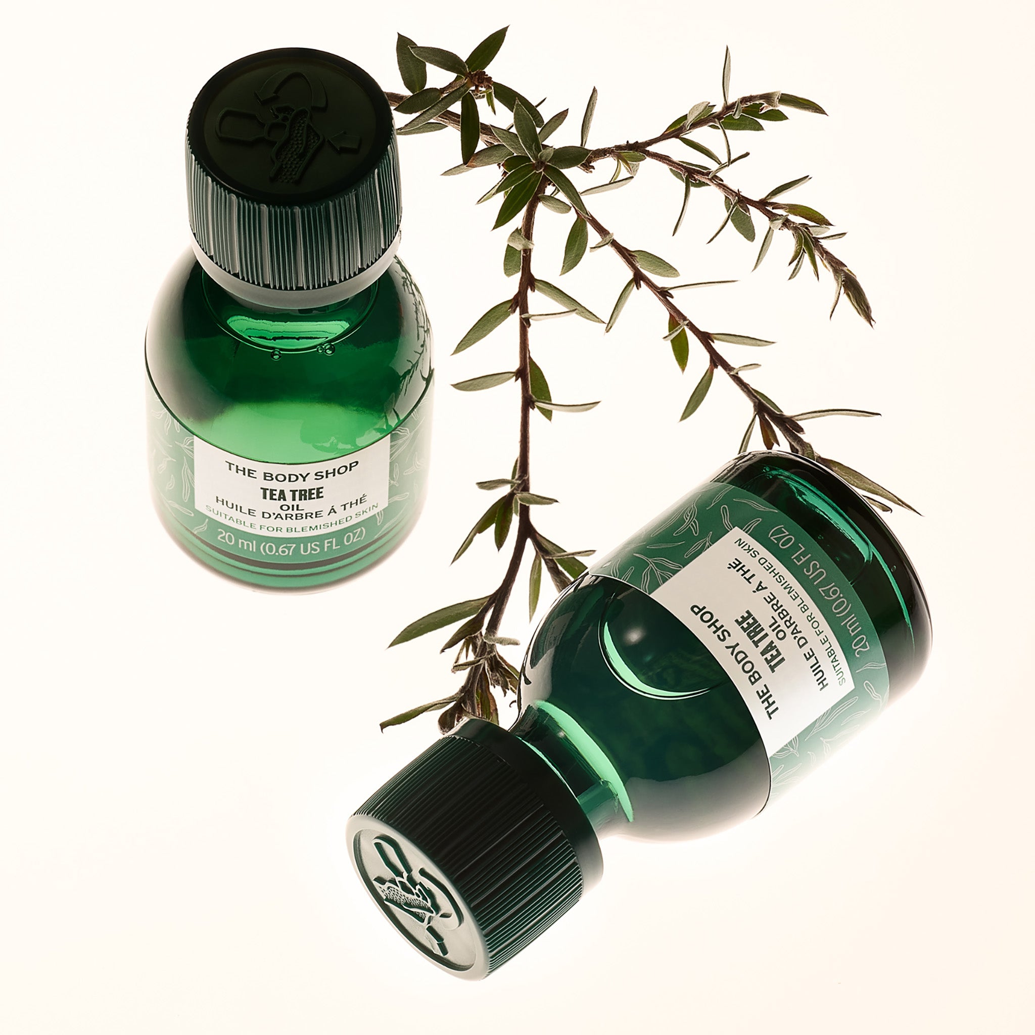 Two bottles of The Body Shop Tea Tree Oil with a twig of Tea Tree plant in the background.
